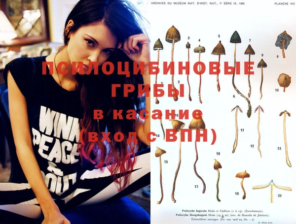 не бодяженный Беломорск