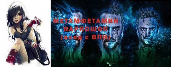 сатива Ельня