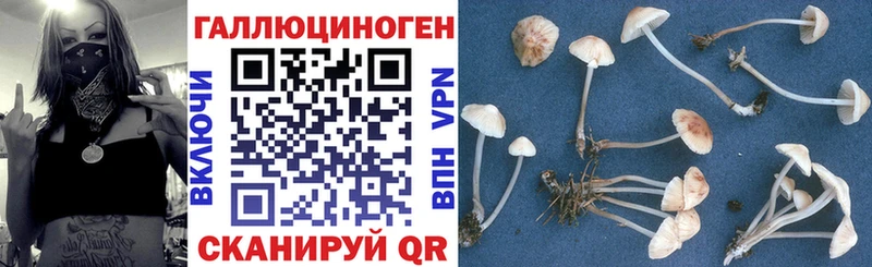 Галлюциногенные грибы Magic Shrooms  Верещагино 